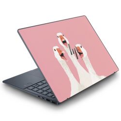 Foils for Laptops matt