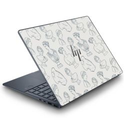 Foils for Laptops matt