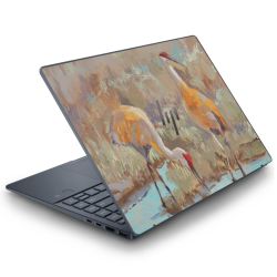 Folien für Laptops matt