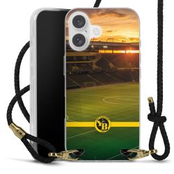 Carry Case Transparent Leather black/gold