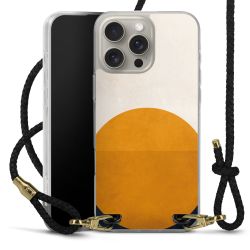 Carry Case Transparent Leather black/gold