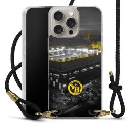 Carry Case Transparent Leather black/gold