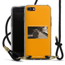 Carry Case Transparent Leather black/gold