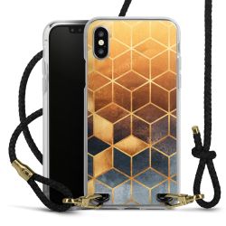 Carry Case Transparent Leather black/gold