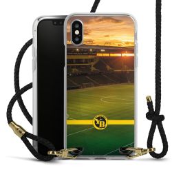 Carry Case Transparent Leather black/gold