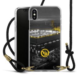 Carry Case Transparent Leather black/gold