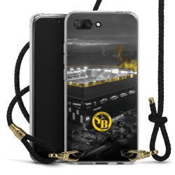 Carry Case Transparent Leather black/gold