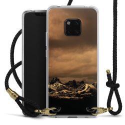 Carry Case Transparent Leather black/gold