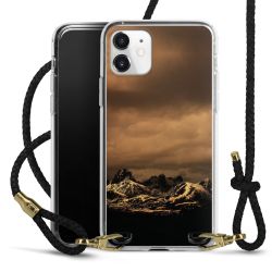 Carry Case Transparent Leather black/gold