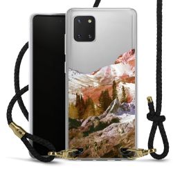 Carry Case Transparent Leather black/gold