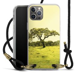 Carry Case Transparent Leather black/gold