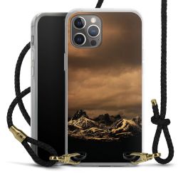 Carry Case Transparent Leather black/gold