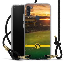 Carry Case Transparent Leather black/gold