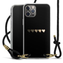 Carry Case Transparent Leather black/gold