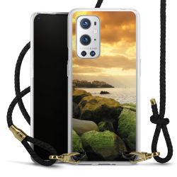 Carry Case Transparent Leather black/gold