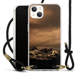 Carry Case Transparent Leather black/gold