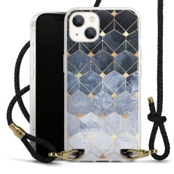 Carry Case Transparent Leather black/gold