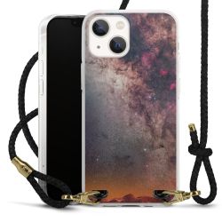 Carry Case Transparent Leather black/gold