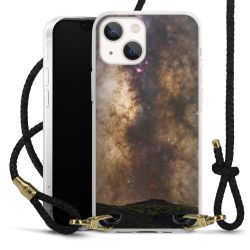 Carry Case Transparent Leather black/gold