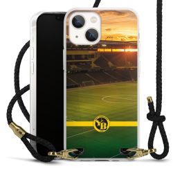 Carry Case Transparent Leather black/gold