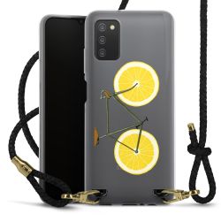 Carry Case Transparent Leather black/gold