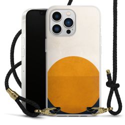 Carry Case Transparent Leather black/gold