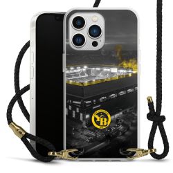 Carry Case Transparent Leather black/gold