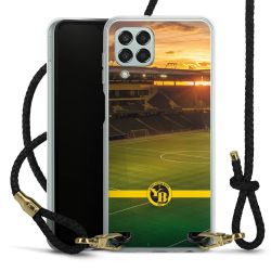 Carry Case Transparent Leather black/gold