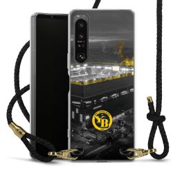 Carry Case Transparent Leather black/gold