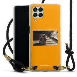 Carry Case Transparent Leather black/gold