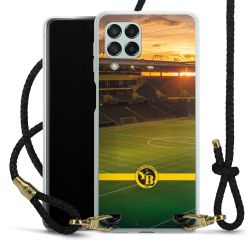 Carry Case Transparent Leather black/gold