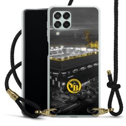 Carry Case Transparent Leather black/gold