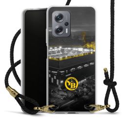 Carry Case Transparent Leather black/gold