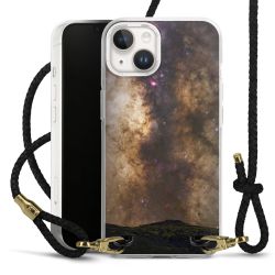 Carry Case Transparent Leather black/gold