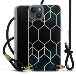 Carry Case Transparent Leather black/gold