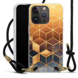 Carry Case Transparent Leather black/gold