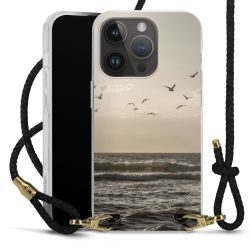 Carry Case Transparent Leather black/gold