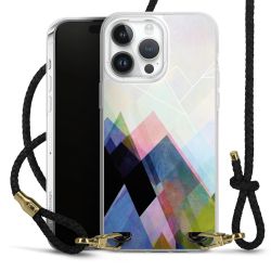 Carry Case Transparent Leather black/gold