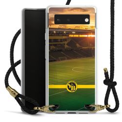 Carry Case Transparent Leather black/gold