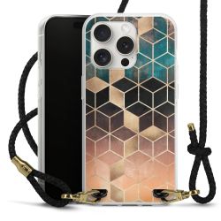 Carry Case Transparent Leather black/gold