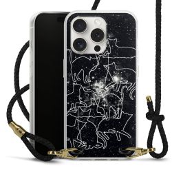 Carry Case Transparent Leather black/gold