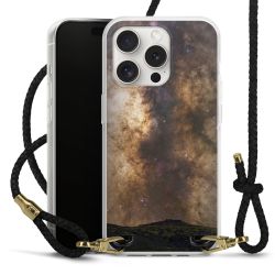 Carry Case Transparent Leather black/gold