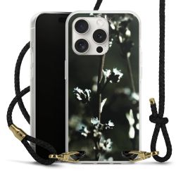 Carry Case Transparent Leather black/gold