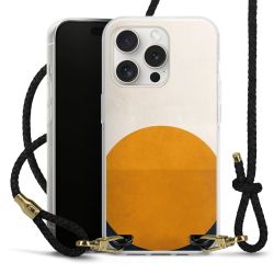 Carry Case Transparent Leather black/gold