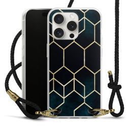 Carry Case Transparent Leather black/gold