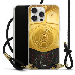 Carry Case Transparent Leather black/gold