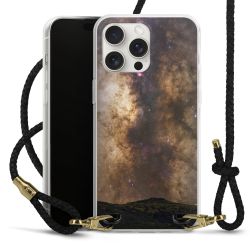 Carry Case Transparent Leather black/gold