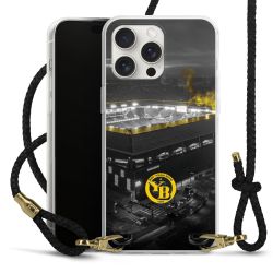 Carry Case Transparent Leather black/gold