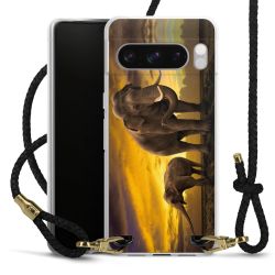 Carry Case Transparent Leather black/gold