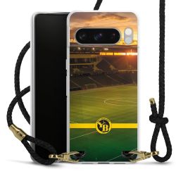 Carry Case Transparent Leather black/gold